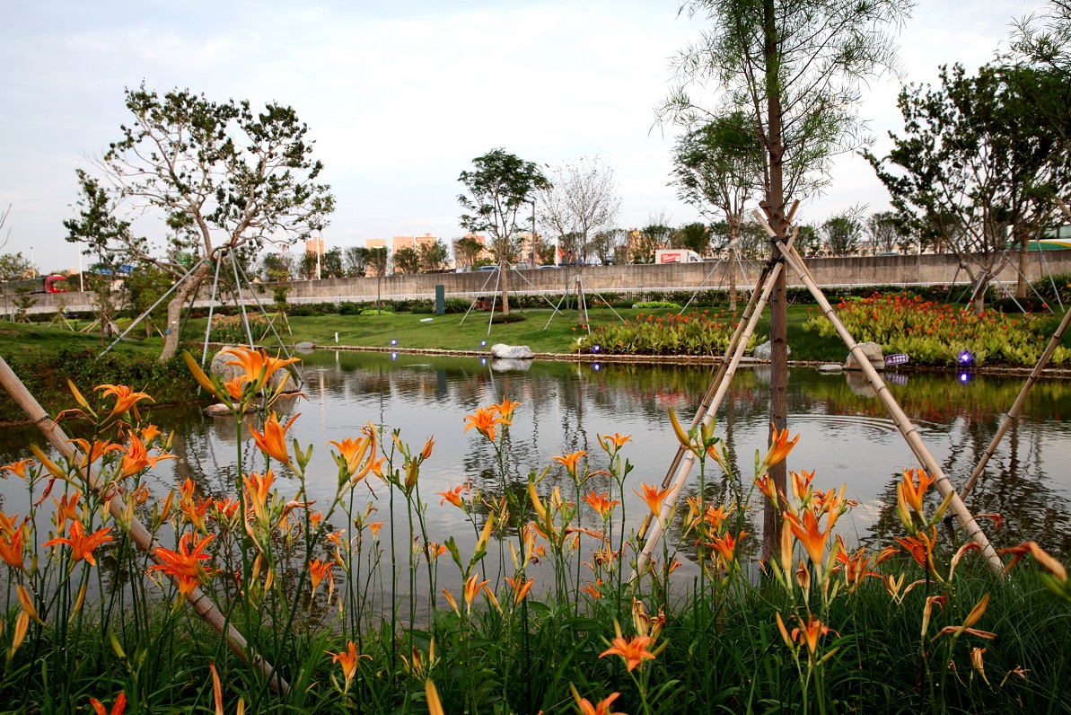 光明楼村湿地公园图片