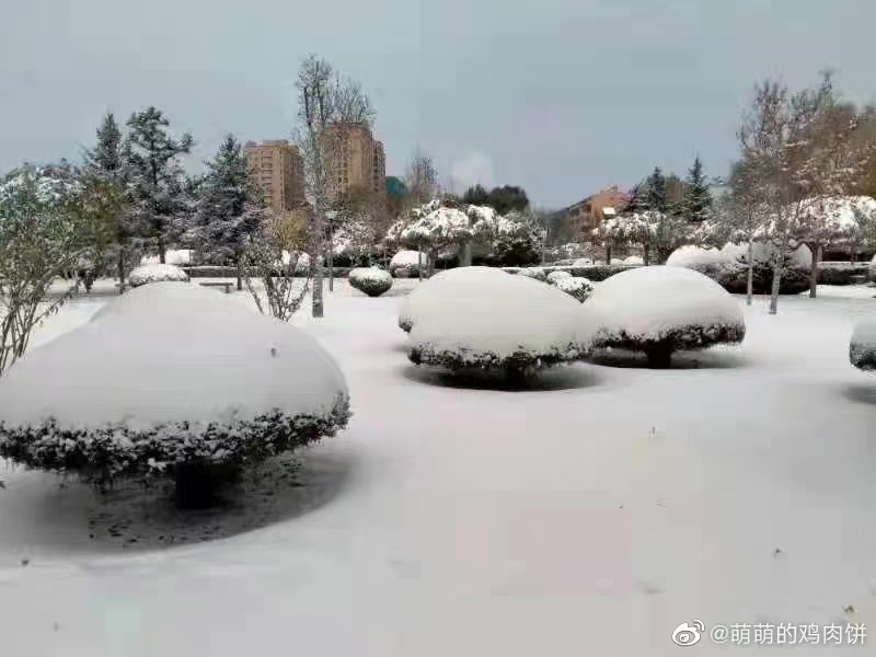 深圳人在冷空氣到來前夜被熱醒小心今晚被凍醒